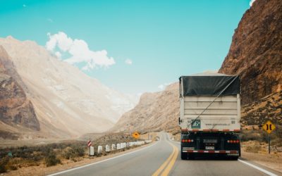 Mejor palet según el sector