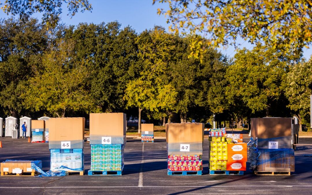 palets para productos alimentarios