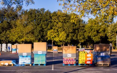 Palets para productos alimentarios